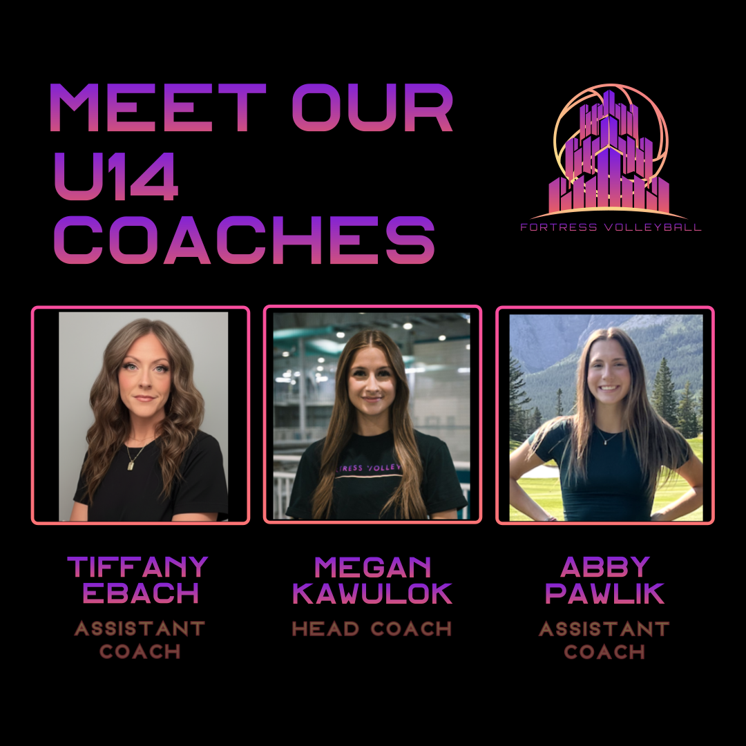 design - 2025-11-19T160456.790